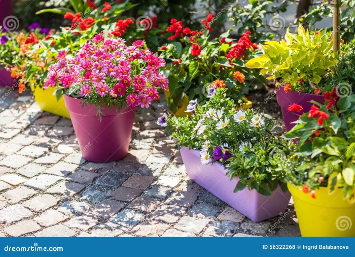 How to plant flowers in a pot